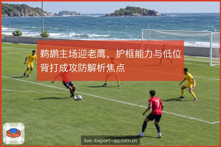 鹈鹕主场迎老鹰，护框能力与低位背打成攻防解析焦点